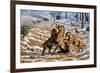 Scimitar Cats Attacking a Horse-Mauricio Anton-Framed Photographic Print