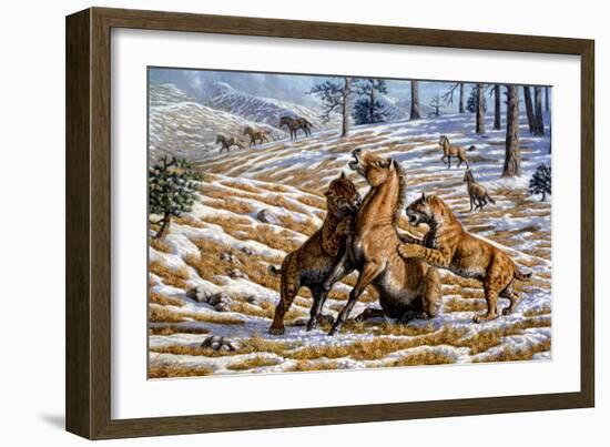 Scimitar Cats Attacking a Horse-Mauricio Anton-Framed Photographic Print