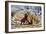 Scimitar Cats Attacking a Horse-Mauricio Anton-Framed Photographic Print