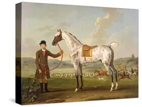 Scipio, Colonel Roche's Spotted Hunter, c.1750-Thomas Spencer-Stretched Canvas