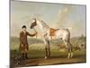 Scipio, Colonel Roche's Spotted Hunter, c.1750-Thomas Spencer-Mounted Giclee Print