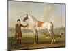 Scipio, Colonel Roche's Spotted Hunter, c.1750-Thomas Spencer-Mounted Giclee Print