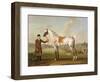 Scipio, Colonel Roche's Spotted Hunter, c.1750-Thomas Spencer-Framed Premium Giclee Print