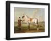 Scipio, Colonel Roche's Spotted Hunter, c.1750-Thomas Spencer-Framed Premium Giclee Print