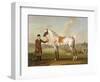 Scipio, Colonel Roche's Spotted Hunter, c.1750-Thomas Spencer-Framed Premium Giclee Print