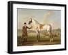 Scipio, Colonel Roche's Spotted Hunter, c.1750-Thomas Spencer-Framed Giclee Print