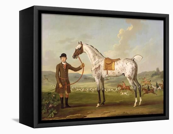 Scipio, Colonel Roche's Spotted Hunter, c.1750-Thomas Spencer-Framed Stretched Canvas