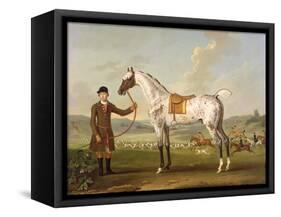 Scipio, Colonel Roche's Spotted Hunter, c.1750-Thomas Spencer-Framed Stretched Canvas