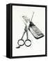 Scissors And Comb-Boyan Dimitrov-Framed Stretched Canvas