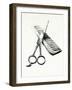 Scissors And Comb-Boyan Dimitrov-Framed Art Print