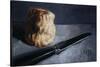 Scone and Knife, 2009-James Gillick-Stretched Canvas