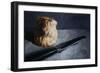 Scone and Knife, 2009-James Gillick-Framed Giclee Print