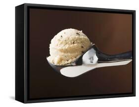 Scoop of Ice Cream in Ice Cream Scoop-null-Framed Stretched Canvas