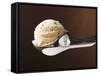 Scoop of Ice Cream in Ice Cream Scoop-null-Framed Stretched Canvas