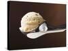 Scoop of Ice Cream in Ice Cream Scoop-null-Stretched Canvas