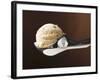 Scoop of Ice Cream in Ice Cream Scoop-null-Framed Photographic Print