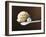 Scoop of Ice Cream in Ice Cream Scoop-null-Framed Photographic Print