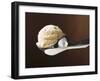 Scoop of Ice Cream in Ice Cream Scoop-null-Framed Photographic Print