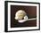 Scoop of Ice Cream in Ice Cream Scoop-null-Framed Photographic Print