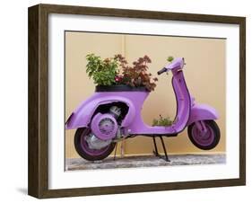 Scooter Flower Display, Symi Island, Dodecanese Islands, Greece-Peter Adams-Framed Photographic Print