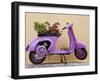 Scooter Flower Display, Symi Island, Dodecanese Islands, Greece-Peter Adams-Framed Photographic Print