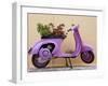 Scooter Flower Display, Symi Island, Dodecanese Islands, Greece-Peter Adams-Framed Photographic Print