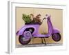 Scooter Flower Display, Symi Island, Dodecanese Islands, Greece-Peter Adams-Framed Photographic Print