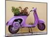 Scooter Flower Display, Symi Island, Dodecanese Islands, Greece-Peter Adams-Mounted Photographic Print