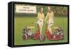 Scooter Mower Advertisement-null-Framed Stretched Canvas
