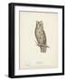 Scops- Eared Owl-H. Meyer-Framed Art Print