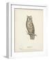 Scops- Eared Owl-H. Meyer-Framed Art Print