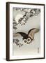 Scops Owl Flying under Cherry Blossoms-Koson Ohara-Framed Giclee Print