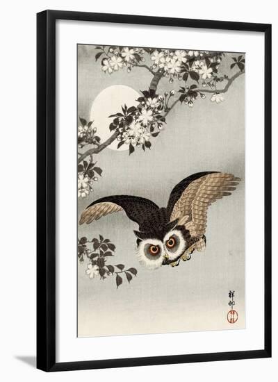 Scops Owl Flying under Cherry Blossoms-Koson Ohara-Framed Giclee Print