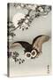 Scops Owl Flying under Cherry Blossoms-Koson Ohara-Stretched Canvas