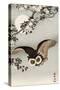 Scops Owl Flying under Cherry Blossoms-Koson Ohara-Stretched Canvas