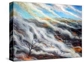 Scorched Earth, 2014-Tilly Willis-Stretched Canvas