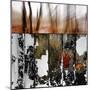 scorched earth-Gilbert Claes-Mounted Photographic Print