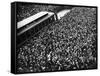 Scoreboard Watching, Giants & A's World Series, Baseball Photo - New York, NY-Lantern Press-Framed Stretched Canvas