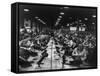 Scores of British Women Perform Light Bench Work at a Small Arms Factory, Ca. 1939-45-null-Framed Stretched Canvas