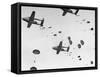 Scores of Paratroopers Dropping from C-82 "Flying Boxcar" and Landing on Level Ground-Frank Scherschel-Framed Stretched Canvas