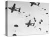 Scores of Paratroopers Dropping from C-82 "Flying Boxcar" and Landing on Level Ground-Frank Scherschel-Stretched Canvas