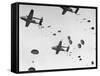 Scores of Paratroopers Dropping from C-82 "Flying Boxcar" and Landing on Level Ground-Frank Scherschel-Framed Stretched Canvas