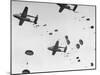 Scores of Paratroopers Dropping from C-82 "Flying Boxcar" and Landing on Level Ground-Frank Scherschel-Mounted Premium Photographic Print