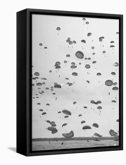 Scores of Paratroopers Dropping from C-82 "Flying Boxcar" and Landing on Level Ground-Frank Scherschel-Framed Stretched Canvas