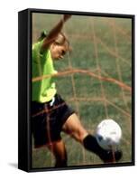 Scoring a Goal-null-Framed Stretched Canvas