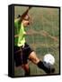 Scoring a Goal-null-Framed Stretched Canvas