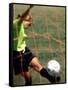 Scoring a Goal-null-Framed Stretched Canvas