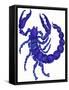 Scorpio, 1996-Jane Tattersfield-Framed Stretched Canvas