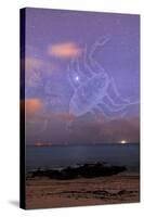 Scorpio In a Night Sky-Laurent Laveder-Stretched Canvas