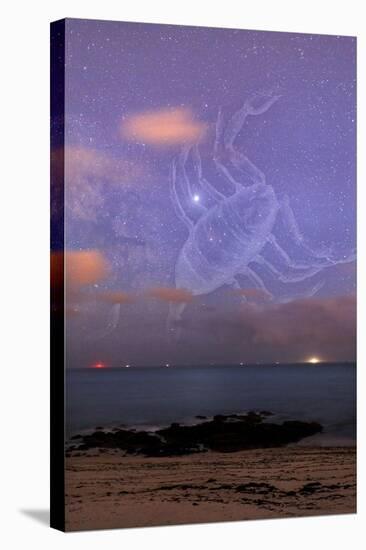 Scorpio In a Night Sky-Laurent Laveder-Stretched Canvas